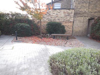 Picture 8